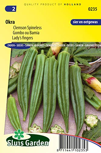 Lady's Fingers Okra Gemüsesamen pro Gramm - attraktive gelbe Blüten mit dunkelrotem Herz - 1,5 g - Samen pro Gramm: +/-30