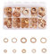 QWORK® Ensemble de Rondelle Cuivre Plates M5-M14, 200 Pièces Joint Cuivre Joints Vidange Utilisé avec Boîte de Rangement, 9 Tailles (M5 M6 M8 M10 M12 M14 M16 M20)