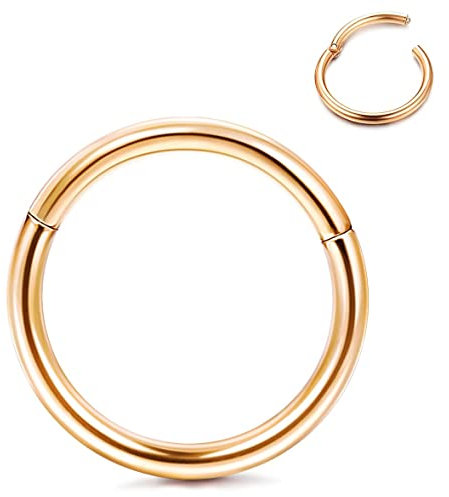 Roheafer Nasenring Hoop Hypoallergen G23 Titan Knorpel Ohrring Segmentring 14G 16G 18G 20G Knorpel Daith Conch Tragus Helix Septum Nasenpiercing Ring Ear Body Piercing Schmuck 1 Stück