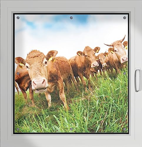 Wallario Lichtschutzbild, Dekorativer Sichtschutz Sonnenschutz 96 x 100 cm mit Motiv: Kühe im Sommer auf der Weide - Verdunklungsrollo ohne Bohren