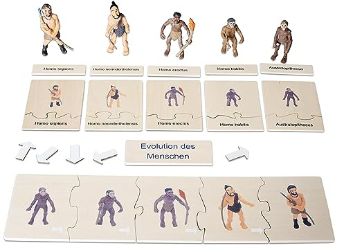 Betzold Evolution des Menschen, Holz-Puzzle | Figuren, Textkarten, Deutsch & Englisch