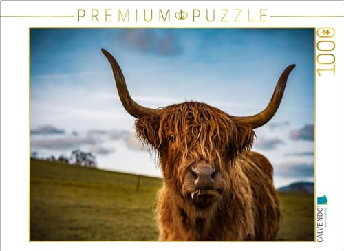 Puzzle · Highland im Weserbergland | Highland · 1000 Teile · Lege-Größe 64 × 48 cm · CALVENDO Puzzle