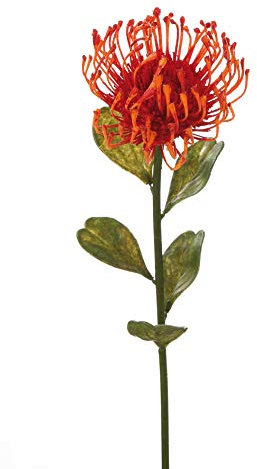 GILDE Protea ''Nikita'' aus Kunststoff · orange Höhe 49 cm 53950