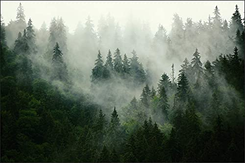 Muralo Fototapete WALD IM NEBEL Wandtapeten Bäume Grün Natur Wohnzimmer Schlafzimmer Esszimmer Moderne Wandbilder XXL Landschaft Panorama Wand Dekoration (VLIES, Br. 315 cm x Hö. 210 cm)