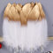Tukcherry Plumes Blanc, Blanc Plume Décoration, Idéal pour Costumes, Chapeaux, Décoration d'intérieur Fete Mariage Anniversaire, Multicolore (10 Plume d'or Blanc)