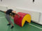 Artimex Turnzylinder für Gymnastiktraining, Artikelnr. 0380