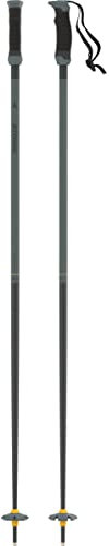 ATOMIC REDSTER Q SQS Skistöcke - Länge 135 cm - 4* Aluminium Skistock der Spitzenklasse - Stock mit Safety Quick Release System - Stöcke mit 60mm-Pistenteller - Skistecken in Grün