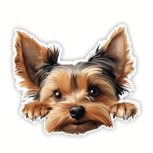 2pcs Peeking Yorkshire Terrier Vinyl Aufkleber 14x12cm, niedlich kleiner Hund Aufkleber für Auto, Laptop, Fenster, Notebook, Tierliebhaber Geschenk | # DK125