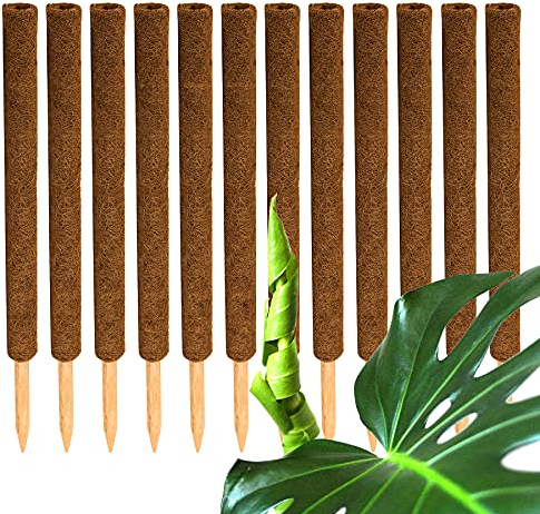 BigDean 12er Set Pflanzstäbe Kokos 60 cm - Monstera Rankhilfe Rankstäbe Stab Moosstäbe Pflanzenstäbe Kokosstäbe für Pflanzen - aus natürlicher Kokosfaser - verlängerbar