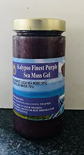 Kalypso Wild Made Purple Sea Moss Gel