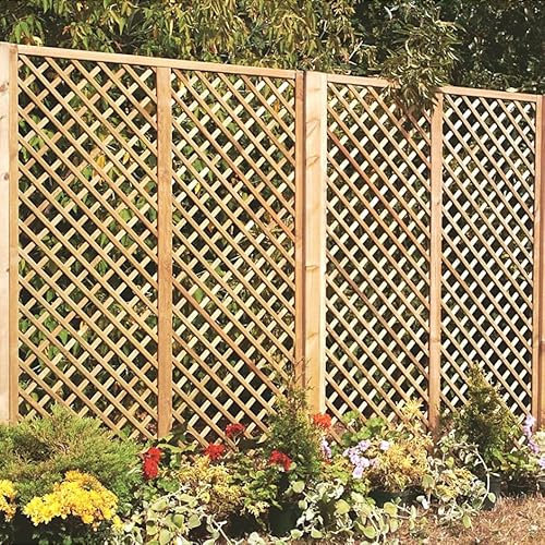 Primrose English Fan Outdoor Garden Privacy Screening Wall Trellis 1.83m x 0.6m