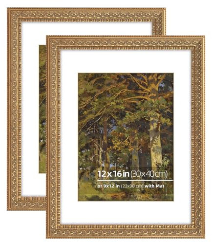 Eitida Bilderrahmen, 30,5 x 40,6 cm, goldfarbener kunstvoller Bilderrahmen, mit Passepartout für 22,9 x 30,5 cm Fotos, Plexiglasschutz, 2 Stück