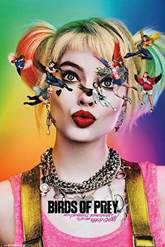 1art1 Birds of Prey Poster One Sheet Plakat | Bild 91x61 cm