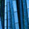 100 Stück Bambus Samen Winterhart, Bambus Pflanze Samen, Blumensamen für Garten und Balkon,Garten Blumen, Ideale Garten Pflanzen, Balkon Pflanzen (Blau)