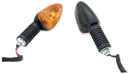 Blinker Motorrad Motorrad Blinker Signal Licht Anzeige for BMW R1100GS R1100R R1150GS R1150 Abenteuer ADV R 1100 1150 GS R Vorne/hinten Motorrad Blinker(Color:AMBER)