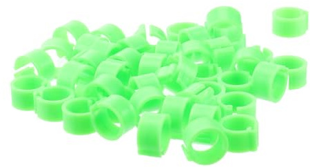 Ciieeo Bague pour Pigeon 10 MM Verte Lot de 100 Anneaux D’Identification Légers et Pratiques Bagues de Patte pour Élevage et Gestion de Volailles