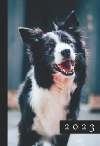 2023: A6 Kalender Mini Planer | 1 Woche auf 2 Seiten | Minikalender Wochenplaner | Soft-Cover Border Collie | Kalenderbuch Terminkalender | Organizer Wochenkalender | Terminplaner Buchkalender