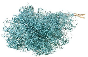 FloristryWarehouse Dried Bunch of Pastel Broom Bloom 40cm/15 Inches Misty Blue