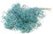 FloristryWarehouse Dried Bunch of Pastel Broom Bloom 40cm/15 Inches Misty Blue