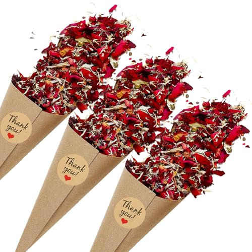 PATIKIL Dried Flower Confetti Cones, 30Pcs Paper Tapers Cone Holder with Dried Rose Petals/Sticker for Wedding Party Engagement Birthday DIY Decoration, Red