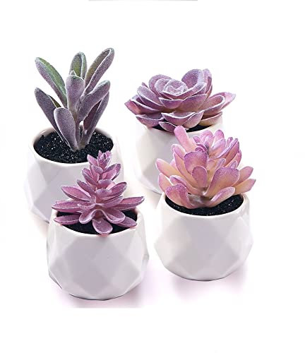 CADNLY Künstliche Sukkulenten Set – für Frauen Schreibtisch Realistische künstliche in Keramik-Pflanztöpfen Mini lila Dekor Schlafzimmer Badezimmer Bücherregal Büro