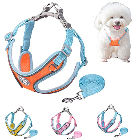 Hundegeschirr und Leine Step-in Mesh Step in Vest Harness für kleine und mittlere Hunde