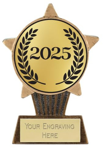 TROPHIESPLUSMEDALS Personalised Year 2025 Mini Star Trophy - 10cm | Small 3 7/8 Gold| Includes Free Metal Plate Engraving