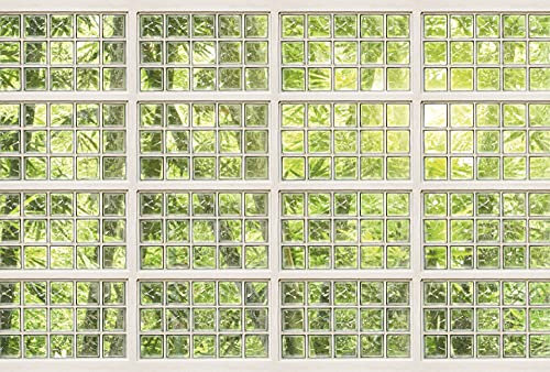 Architects Paper Fototapete Fenster Grün | Natur Weiß BricksOfGlas | Atelier 47 4.00 m x 2.70 m Grün Weiß