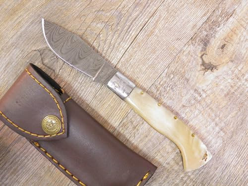 Generico Coltello 18 CM Sardegna SARDO ARBURESA Damasco Manico Corno di muflone Lucido Art 5
