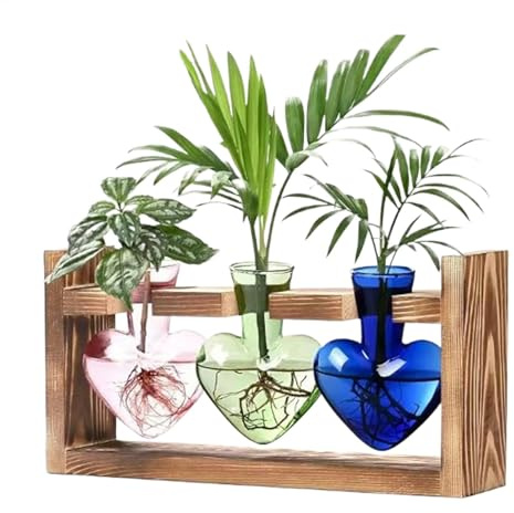Pflanzen-Anzuchtstation – Pflanzen-Terrarium in Herzform aus | Blumenvase mit Holzständer, Tisch-Pflanzgefäß für Hydrokultur, Heimdekoration, Gartendekoration