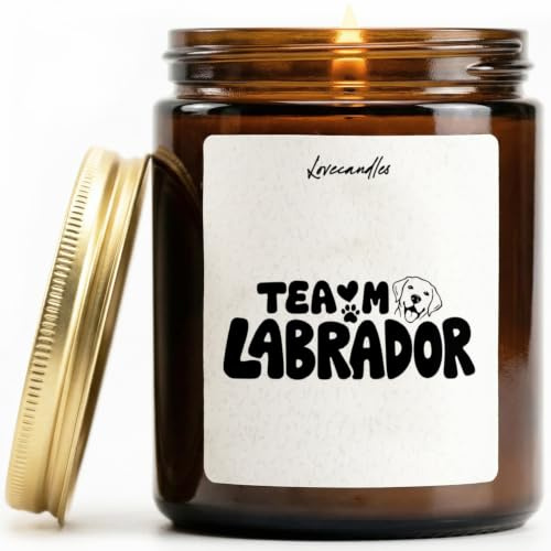team labrador - Duftkerze mit Spruch als Geschenk für Geburtstag, Weihnachten, Labrador-Liebhaber, Hundebesitzer, Lustige Vanilleduft-Kerze im Glas