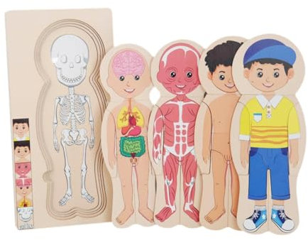Fenteer Menschlicher Körper Puzzle für Kinder Montessori Feinmotorik Fähigkeiten Kreatives Vorschulspiel Lernspielzeug für Kinder, Junge