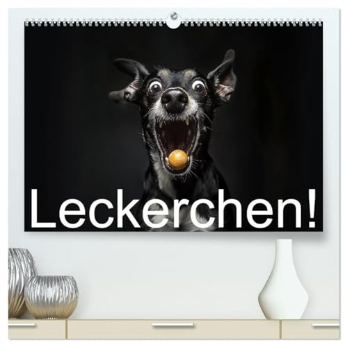 Leckerchen! (hochwertiger Premium Wandkalender 2026 DIN A2 quer), Kunstdruck in Hochglanz: Hunde fangen Leckerchen (CALVENDO Spass)