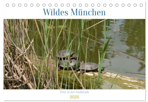 Wildes München (Tischkalender 2026 DIN A5 quer), CALVENDO Monatskalender: Vielfältige Tierwelt mitten in München (CALVENDO Orte)