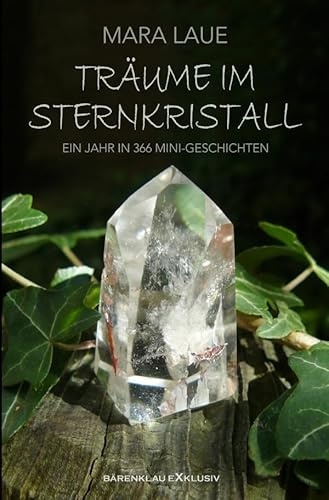 Träume im Sternkristall: Ein Jahr in 366 Mini-Geschichten