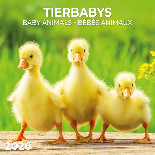 Tierbabys/Baby Animals 2026: Kalender 2026 (Artwork Edition)