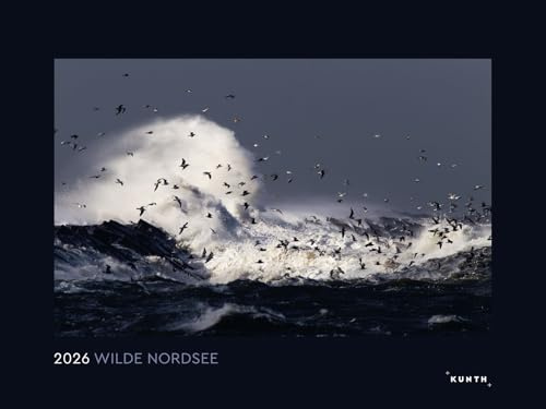 Wilde Nordsee - KUNTH Wandkalender 2026: Hochwertiger, bildstarker Kalender mit Spiralbindung im Großformat (KUNTH Wandkalender Black Edition 60 x 45 cm)
