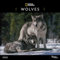 National Geographic: Wolves 2025 Wall Calendar
