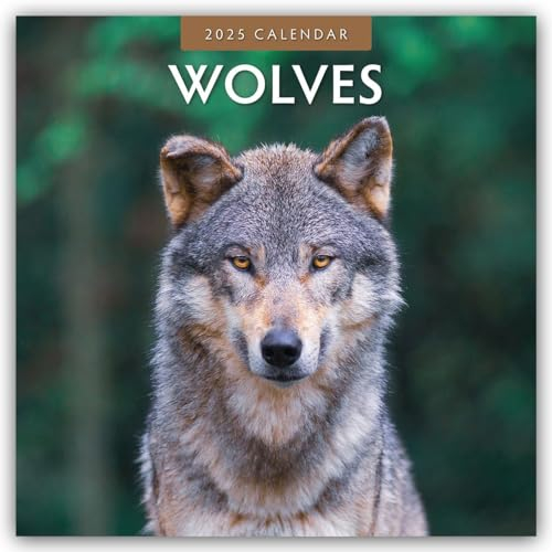 Wolves – Wölfe 2025 – 16-Monatskalender: Original Red Robin Publishing Ltd-Kalender [Mehrsprachig] [Kalender] (Wall-Kalender)