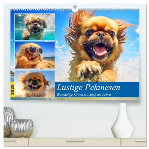 Lustige Pekinesen. Wuschelige Löwen mit Spaß am Leben (hochwertiger Premium Wandkalender 2026 DIN A2 quer), Kunstdruck in Hochglanz: Diese putzigen ... auf unseren Herzen! (CALVENDO Tiere)