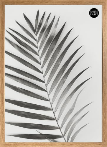 pf+a Oak Effect 50x70cm Poster Picture Frame Perspex Window Wall Display