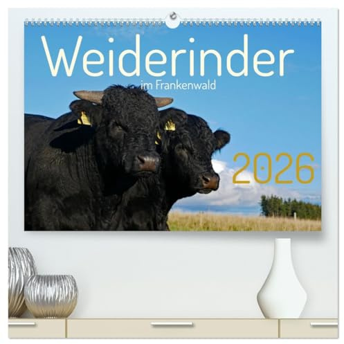 Weiderinder im Frankenwald (hochwertiger Premium Wandkalender 2026 DIN A2 quer), Kunstdruck in Hochglanz: Momentaufnahmen und Porträts von Rindern auf der Weide (CALVENDO Tiere)