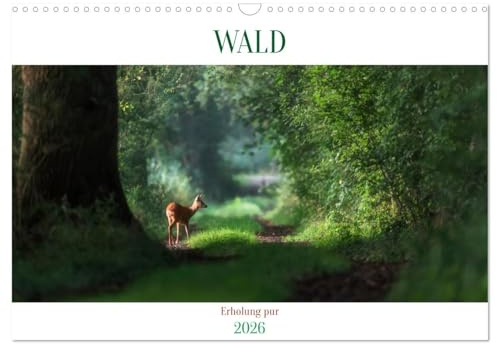 WALD Erholung pur (Wandkalender 2026 DIN A3 quer), CALVENDO Monatskalender: Der Atem der Bäume schenkt uns das Leben! (CALVENDO Natur)