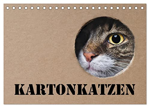 Karton Katzen (Tischkalender 2026 DIN A5 quer), CALVENDO Monatskalender: Lustige Katzen begleiten Sie das ganze Jahr. (CALVENDO Tiere)
