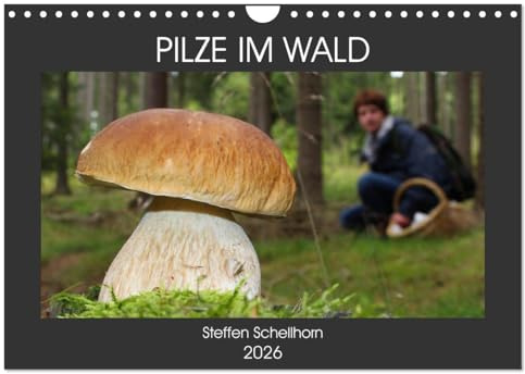 PILZE IM WALD (Wandkalender 2026 DIN A4 quer), CALVENDO Monatskalender: Die schönsten Pilze aus den heimischen Wäldern (CALVENDO Orte)