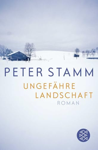Ungefähre Landschaft: Roman