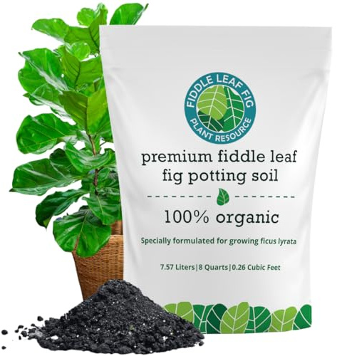 Fiddle Leaf Fig Plant Food
