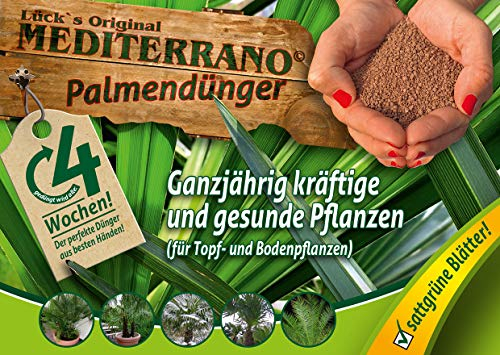 Mediterrano Engrais pour palmier ouvert 3 kg