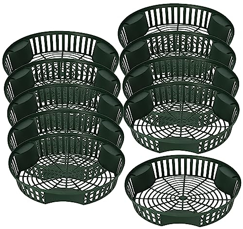 KOTARBAU® 10er Set Pflanzkörbe für Blumenzwiebeln Zwiebel-Pflanzkorb Blumenzwiebel-Schale Blumenzwiebel-Anzuchtkorb Blumenzwiebelkorb Anzuchtschale Pflanzkorb Pflanzschale ⌀ 315 mm