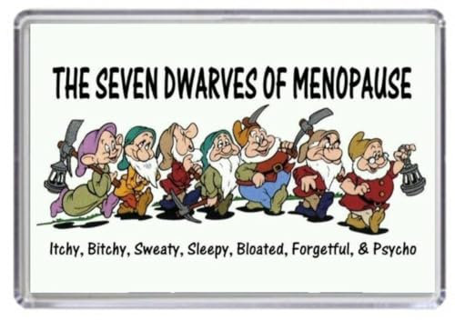 7 dwarves of menopause fridge magnet handmade in uk